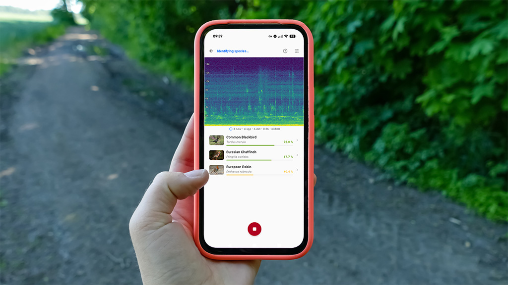 BirdNET app header