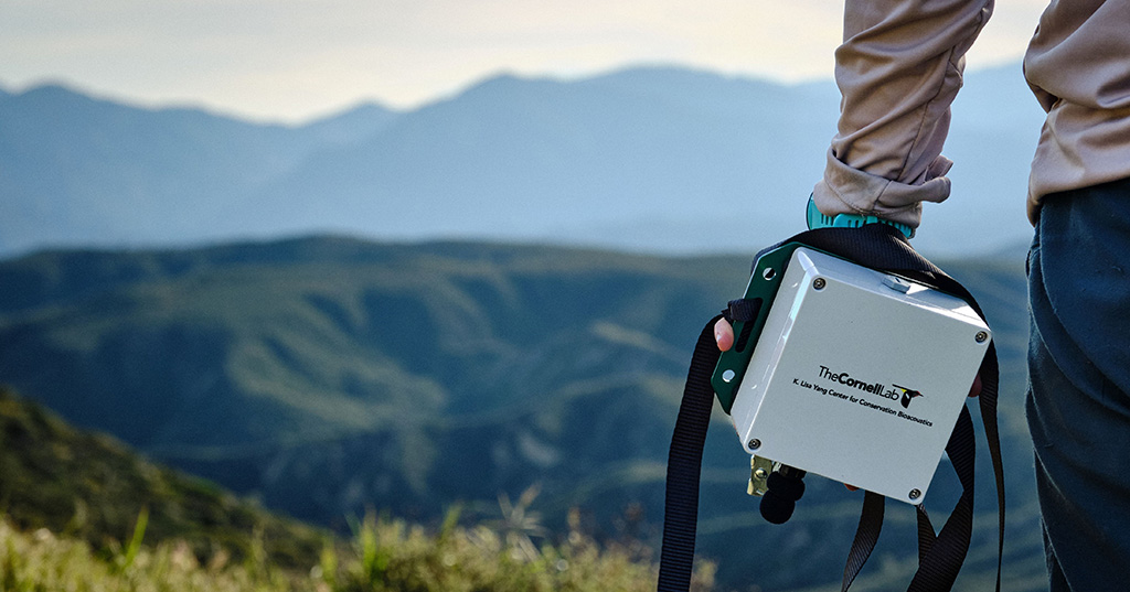 BirdNET donation header