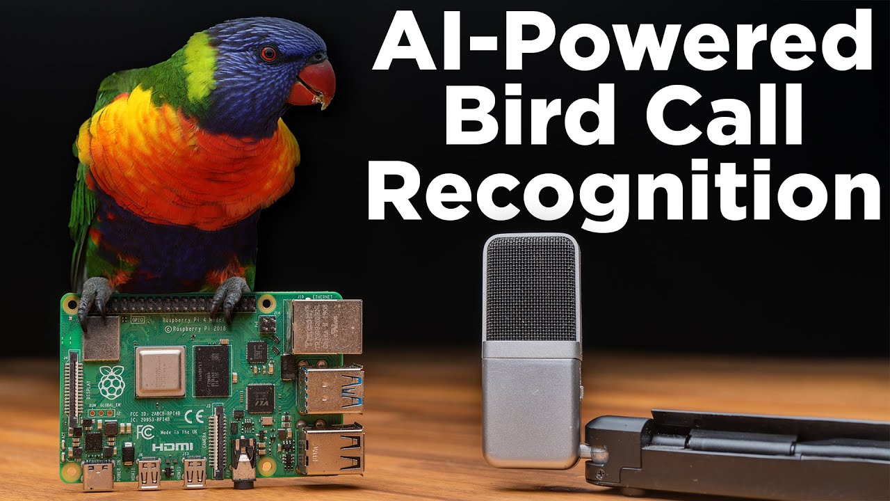 Use Sound and Machine Learning to Identify Birds