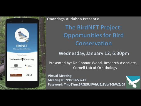The BirdNET Project: Top-Down and Bottom-Up Opportunities